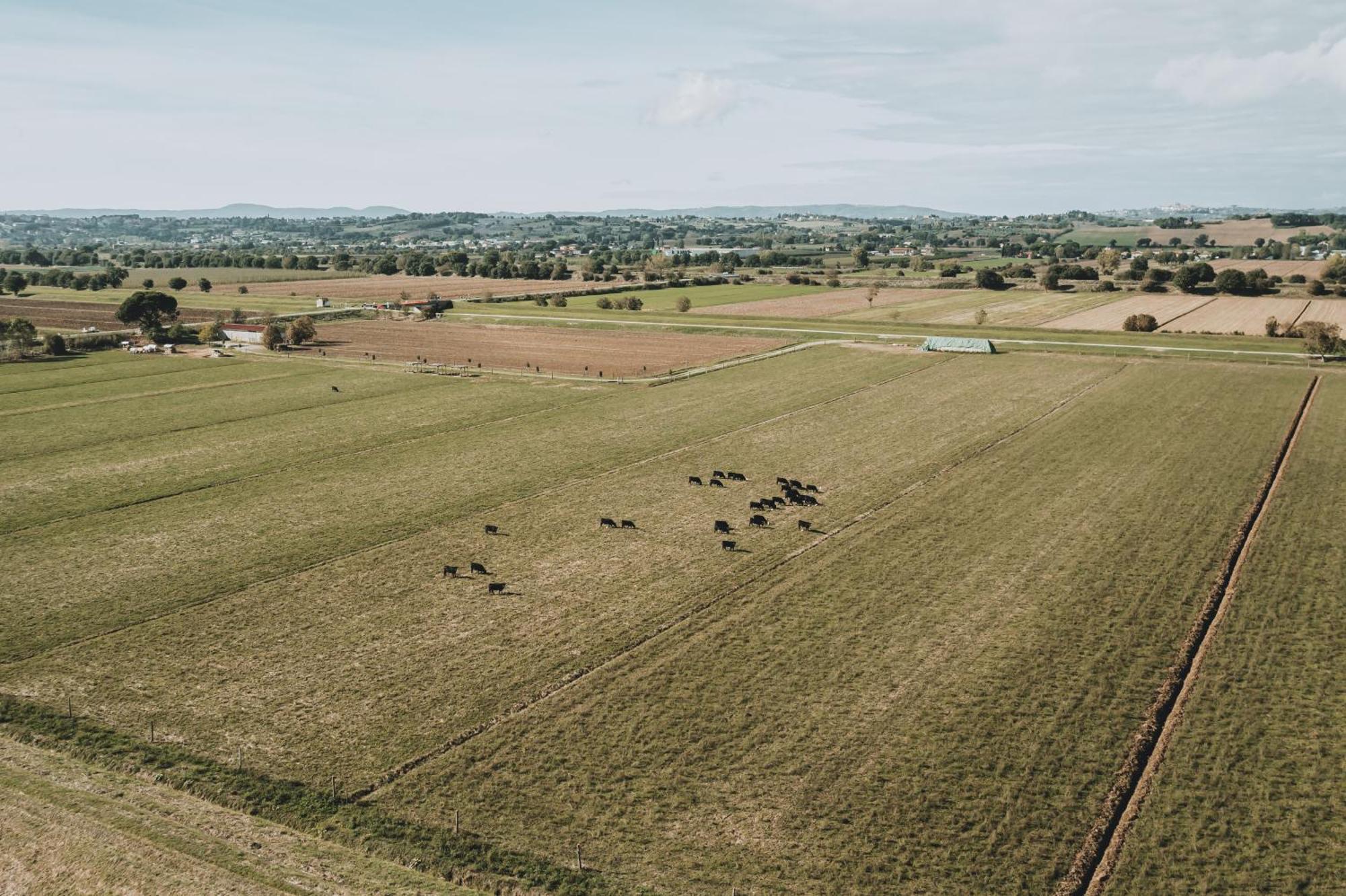 Podere Il Belvedere Su Cortona Castiglion Fiorentino Bagian luar foto